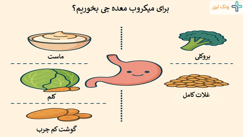 برای میکروب معده چی بخوریم